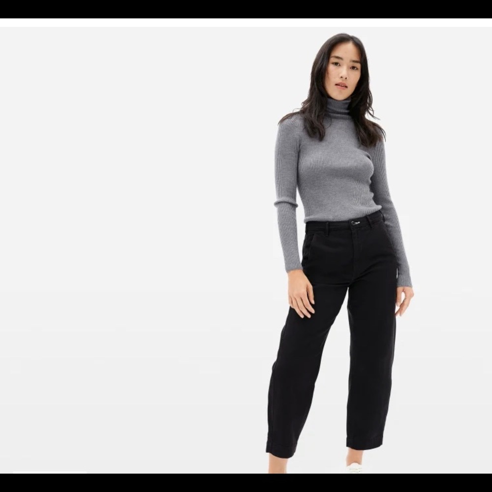 Everlane Arc Canvas Pants
